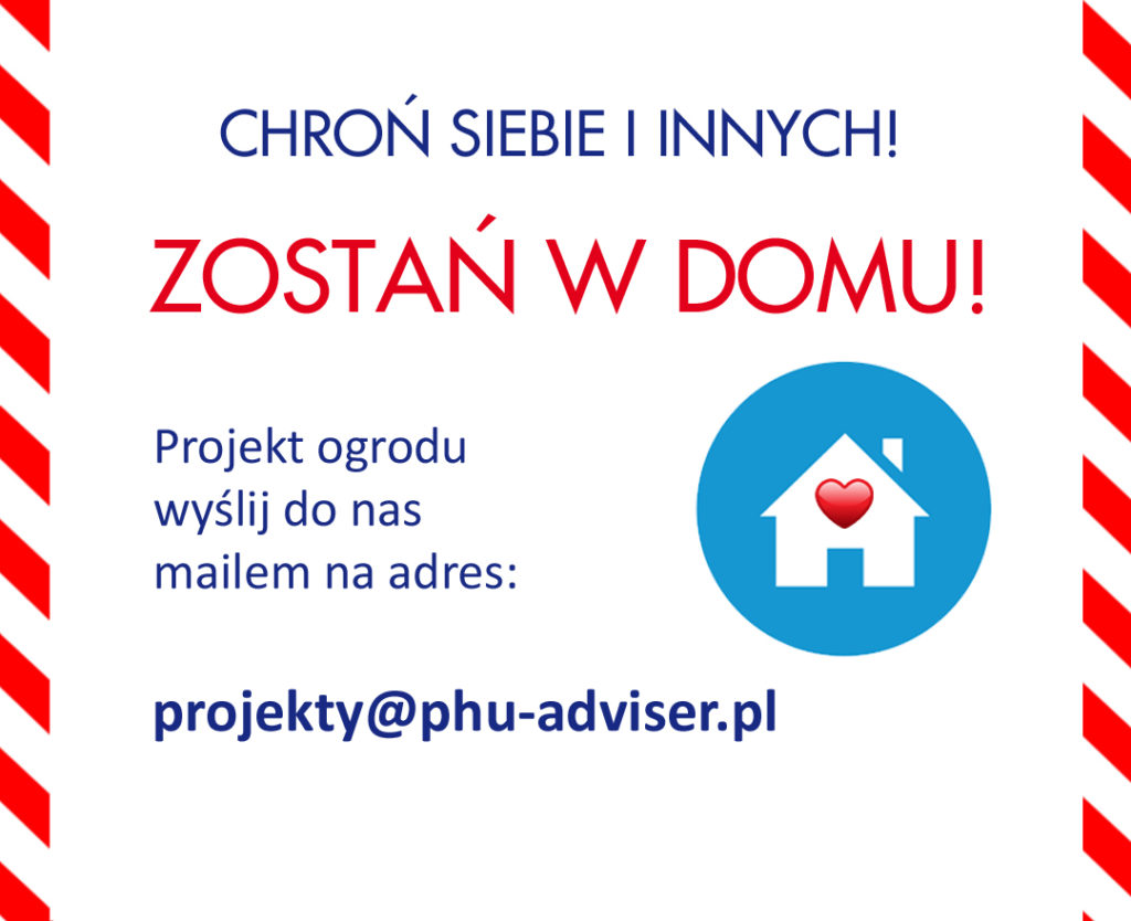Zostan w domu