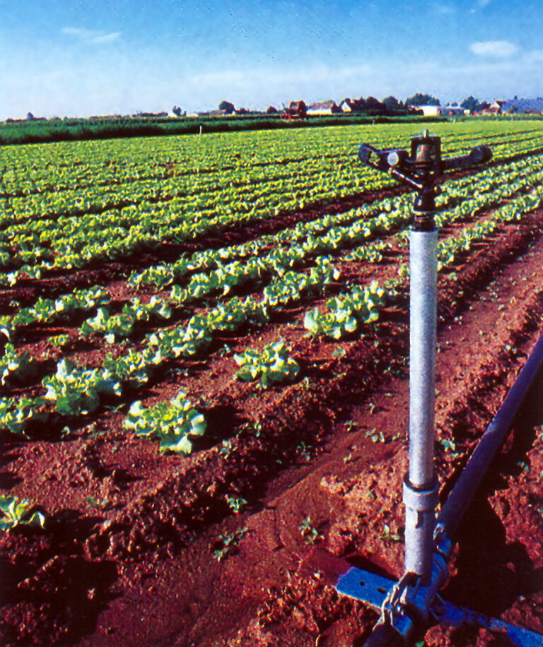 Deszczownia Irrifrance