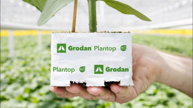 Grodan plantop