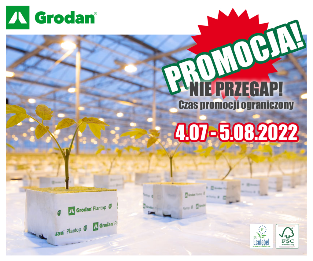 promo