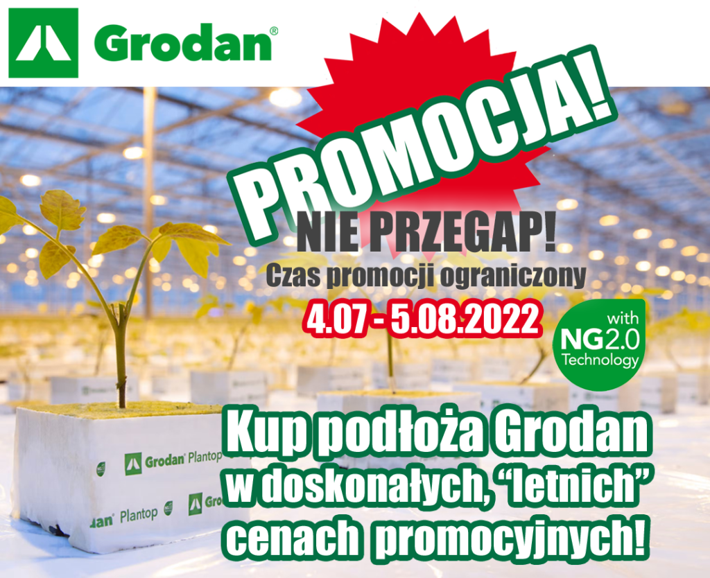 promocja na lato