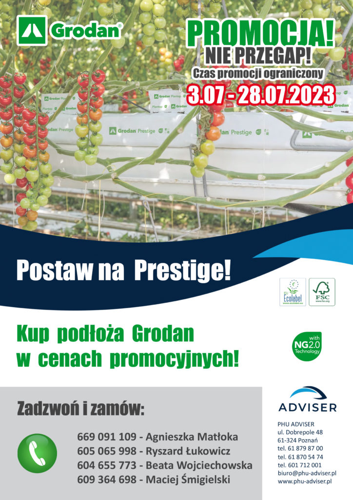 promocyjna 2023